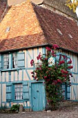 RED ROSES CLIMBING OVER BLUE HALF TIMBERED MEDIEVAL COTTAGE