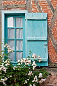 CLIMBING ROSES ON MEDIEVAL HALF TIMBERED COTTAGE