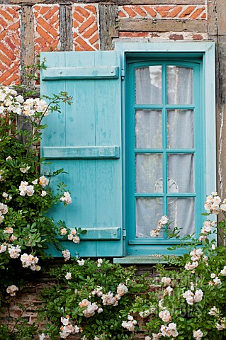 CLIMBING_ROSES_ON_MEDIEVAL_HALF_TIMBERED_COTTAGE
