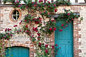 RED CLIMBING ROSES OVER BRICK AND HALF TIMBERED MEDIEVAL BUILDING