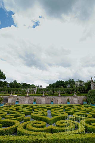 BUXUS_SEMPERVIRENS_AND_TOPIARY_IN_FORMAL_PARTERRE_GARDEN_AT_CHATEAU_DE_BRECY