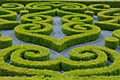 BUXUS SEMPERVIRENS IN FORMAL PARTERRE GARDEN AT CHATEAU DE BRECY