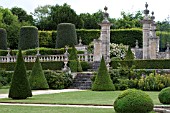 BUXUS SEMPERVIRENS AND TOPIARY IN FORMAL PARTERRE GARDEN AT CHATEAU DE BRECY