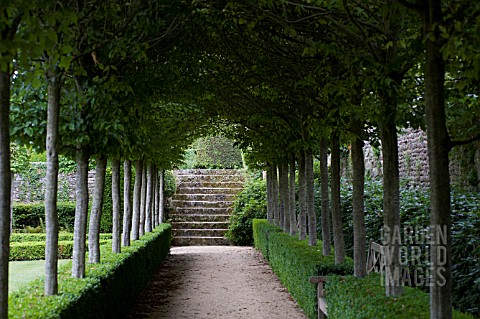 BUXUS_SEMPERVIRENS_AND_TILIA_TREES_IN_FORMAL_GARDEN_WITH_PATH_AND_STAIRS__AT_CHATEAU_DE_BRECY
