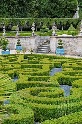 BUXUS_SEMPERVIRENS_TOPIARY_IN_PARTERRE_GARDEN__AT_CHATEAU_DE_BRECY