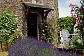 LAVANDULA LINED PATHWAY TO STONE COTTAGE WITH ROSES IN SUMMER