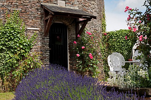LAVANDULA_LINED_PATHWAY_TO_STONE_COTTAGE_WITH_ROSES_IN_SUMMER