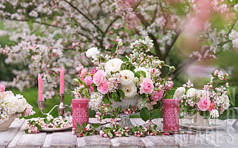 MALUS_X_EVERESTE_WITH_OUTDOOR_TABLE_SET_UNDER_APPLE_BLOSSOMS_AND_DECORATED_WITH_FLORAL_ARRANGEMENTS_