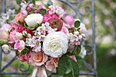 MALUS X EVERESTE  SPRING BOUQUET OF PINK ROSES  RANUNCULUS AND APPLE BLOSSOM