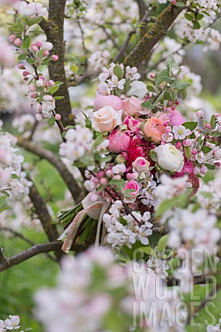 MALUS_X_EVERESTE__SPRING_BOUQUET_OF_PINK_ROSES__RANUNCULUS_AND_APPLE_BLOSSOMS_OF_THE_EVERESTE_CRABAP