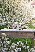 MALUS X EVERESTE WITH OUTDOOR TABLE SET UNDER APPLE BLOSSOMS AND DECORATED WITH FLORAL ARRANGEMENTS OF RANUNCULUS AND ROSES