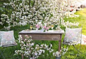 MALUS X EVERESTE WITH OUTDOOR TABLE SET UNDER APPLE BLOSSOMS AND DECORATED WITH FLORAL ARRANGEMENTS OF RANUNCULUS AND ROSES