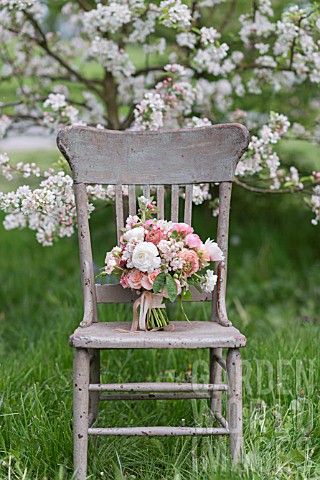 MALUS_X_EVERESTE__ROSA__RANUNCULUS_ASIATICUS_IN_BOUQUET_ON_VINTAGE_CHAIR