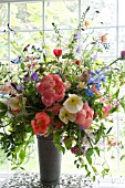 PAEONIA LACTIFLORA CORAL CHARM, WITH POPPIES AND MIXED SPRING FLOWERS