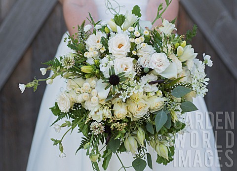 GREEN_AND_WHITE_THEMED_BRIDAL_BOUQUET_WITH_ROSES_SCABIOSA_CARNATION_FERN_CLOVER_AND_WILDFLOWERS