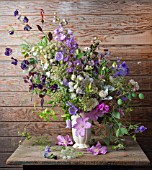 DELPHINIUM, CAMPANULA, LATHYRUS ODORATUS AND CLEMATIS