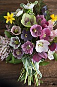 BOUQUET OF MIXED HELLEBORUS X HYBRIDUS