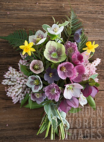 BOUQUET_OF_MIXED_HELLEBORUS_X_HYBRIDUS