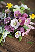 BOUQUET OF MIXED HELLEBORUS X HYBRIDUS