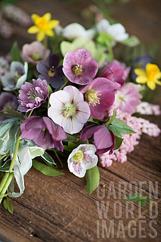 BOUQUET_OF_MIXED_HELLEBORUS_X_HYBRIDUS