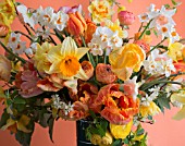 NARCISSUS, TULIPA, RANUNCULUA IN SPRING BOUQUET IN VINTAGE COFFEE TIN