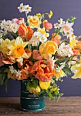 NARCISSUS, TULIPA, RANUNCULUA IN SPRING BOUQUET IN VINTAGE COFFEE TIN