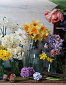 NARCISSUS, TULIPA, HYACINTH ORIENTALIS AND RANUNCULUS