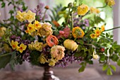 RANUNCULUS IN FLOWER ARRANGEMENT WITH NARCISSUS AND SYRINGA