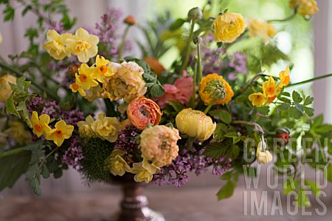 RANUNCULUS_IN_FLOWER_ARRANGEMENT_WITH_NARCISSUS_AND_SYRINGA