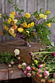 RANUNCULUS IN BOUQUET