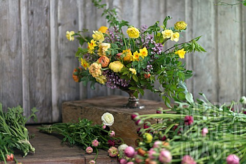 RANUNCULUS_IN_BOUQUET_WITH_NARCISSUS_AND_SYRINGA