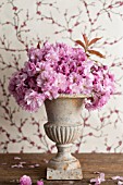 PRUNUS SERRULATA KWANZAN IN FLORAL ARRANGEMENT