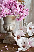 PRUNUS SERRULATA KWANZAN AND MAGNOLIA STELLATA  IN FLORAL ARRANGEMENT