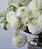 WHITE RANUNCULUS ASIATICUS AND SYRINGA VULGARIS ANGEL IN ANTIQUE SILVER PEDESTAL BOWL