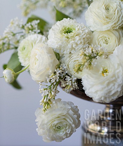 WHITE_RANUNCULUS_ASIATICUS_AND_SYRINGA_VULGARIS_ANGEL_IN_ANTIQUE_SILVER_PEDESTAL_BOWL