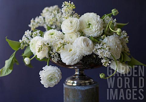 WHITE_RANUNCULUS_ASIATICUS_AND_SYRINGA_VULGARIS_ANGEL_IN_ANTIQUE_SILVER_PEDESTAL_BOWL