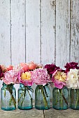 PAEONIA LACTIFLORA BOWL OF BEAUTY, SARAH BERNHARDT AND CORAL CHARM IN VINTAGE BLUE GLASS JARS