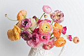 RANUNCULUS ASIATICUS IN WHITE PITCHER