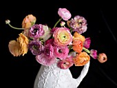 RANUNCULUS ASIATICUS IN WHITE PITCHER