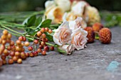 CUT FLOWERS ON WOODEN POTTING BENCH