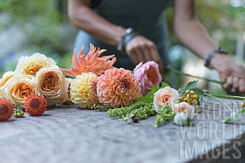 ROSA_DAHLIA_AND_CUT_FLOWERS_ON_WOODEN_POTTING_BENCH