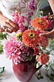 FLORAL DESIGNER ARRANGING BOUQUET WITH ZINNIA, DAHLIA, ROSE, SNAPDRAGON AND OTHER SUMMER FLOWERS