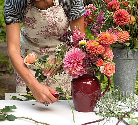FLORAL_DESIGNER_ARRANGING_BOUQUET_WITH_ZINNIA_DAHLIA_ROSE_SNAPDRAGON_AND_OTHER_SUMMER_FLOWERS