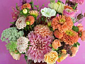 LATE SUMMER BOUQUET OF DAHLIAS, ROSES, ZINNIAS, ASTERS ON PINK BACKGROUND