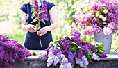 PRACTICAL GARDENING SHOWING CUTTING LEAVES OFF STEMS OF SYRINGA VULGARIS