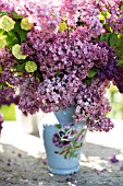 SYRINGA VULGARIS AND VIBURNUM OPULUS ROSEUM IN SPRING