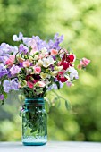 LATHYRUS ODORATUS IN BLUE JAR