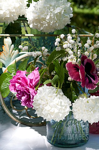 VIBURNUM_OPULUS_ROSEUM_STERILE__ROSA_RUGOSA_HANSA_CONVALLARIA_MAJALIS_AND_PANSY_ARRANGED_IN_VASES