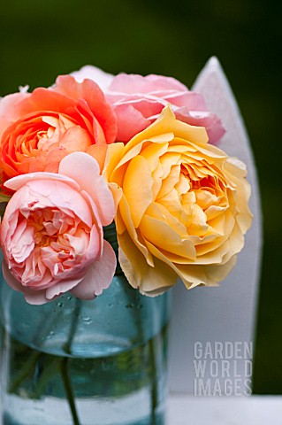 BOUQUET_OF_DAVID_AUSTIN_ENGLISH_ROSES_GRAHAM_THOMAS_GENTLE_HERMIONE_LADY_EMMA_HAMILTON_AND_A_SHROPSH