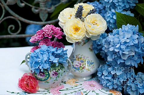 HYDRANGEA_MACROPHYLLA_ENDLESS_SUMMER_IN_VASE_WITH_ROSA_GRAHAM_THOMAS_AND_ROSA_THE_LOVELY_FAIRY